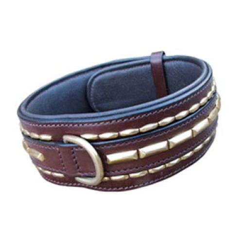 Dog Collars